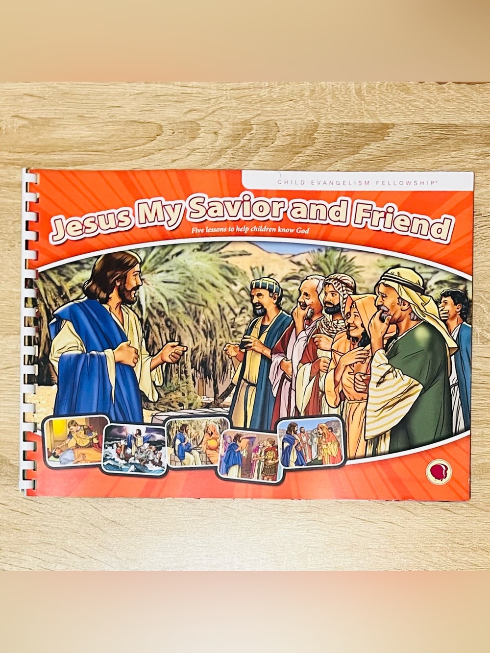 Jesus: My Savior And Friend (Child Evangelism Fellowship Press) Flashcards *NEW*